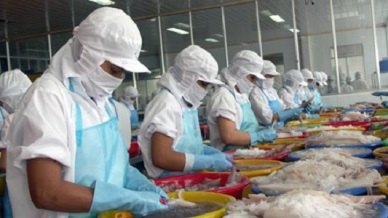 Rebounded in Vietnam cephalopod sales to China