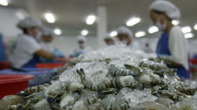Jan-May 2017 Vietnam seafood exports inched up 7.5%